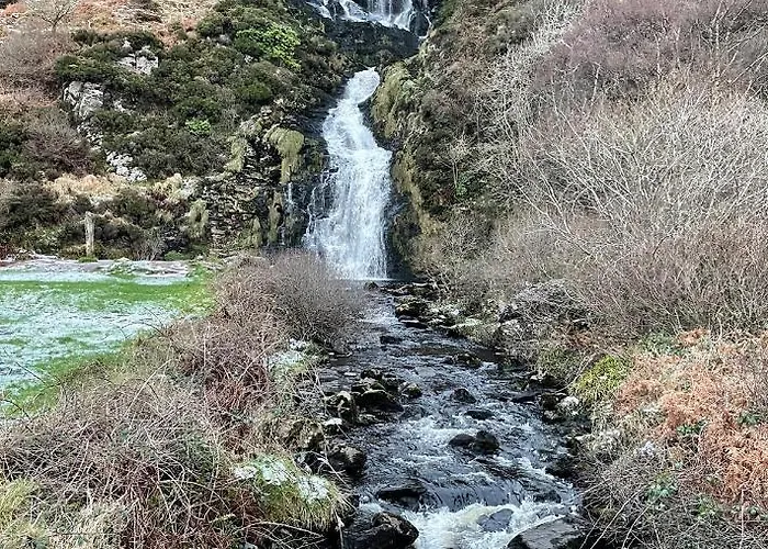 Panzió The Blue Haven Kilcar 3*